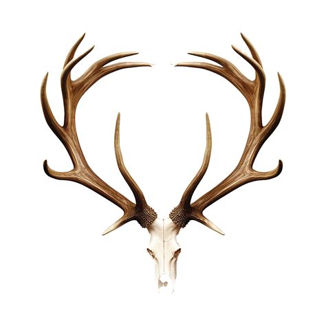 Ai Generated Antlers Png Isolated On Transparent Background 35982497 Png