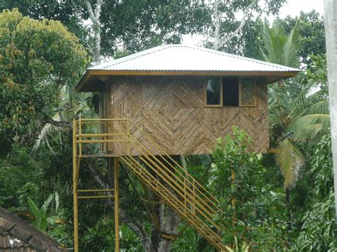 Looking To Stay In A Tree House In Kerala 15 Best Treehouse Resorts