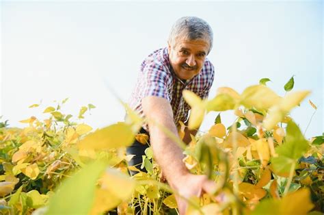 Retrato Del Agr Nomo Agricultor Trabajador Senior De Pie En El Campo De