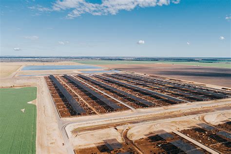 understand red meat  feedlots feedlots australia agm