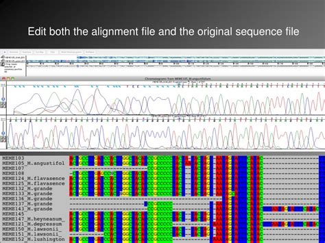 PPT - Plant DNA Barcoding: data workflow PowerPoint Presentation, free ...