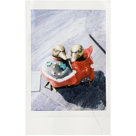 A few pics with the instax mini 11 : r/instax