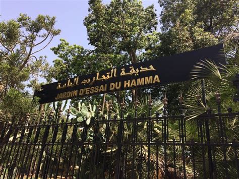 2e Incontournable Jardin Dessai El Hamma Jardins Alger