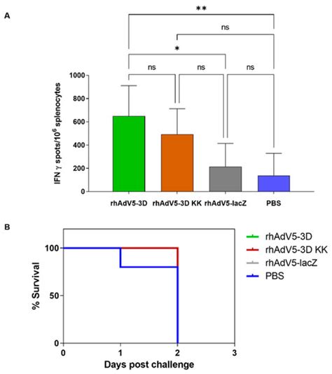 Pharmaceuticals Free Full Text An Adenovirus Vector Expressing Fmdv