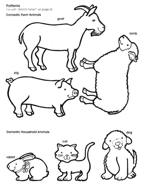 Free Printable Animal Outlines - Coloring Easy for Kids