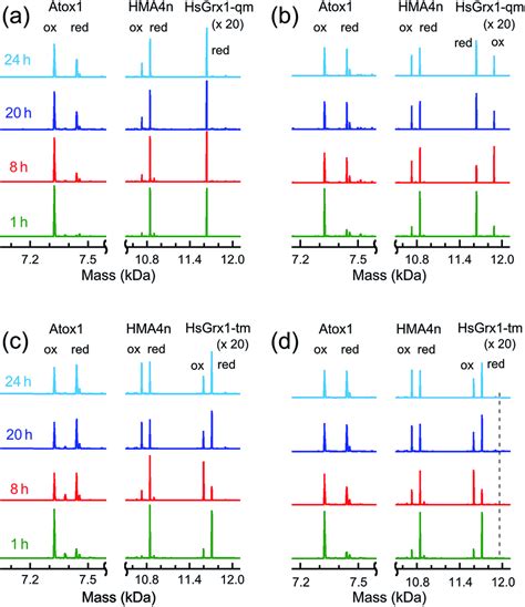 Iaa Esi Ms Analysis Of Reaction Progress And Protein Speciation For