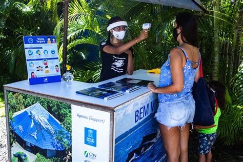 Espa O Baleia Jubarte Reabre Na Praia Do Forte Eco Nordeste