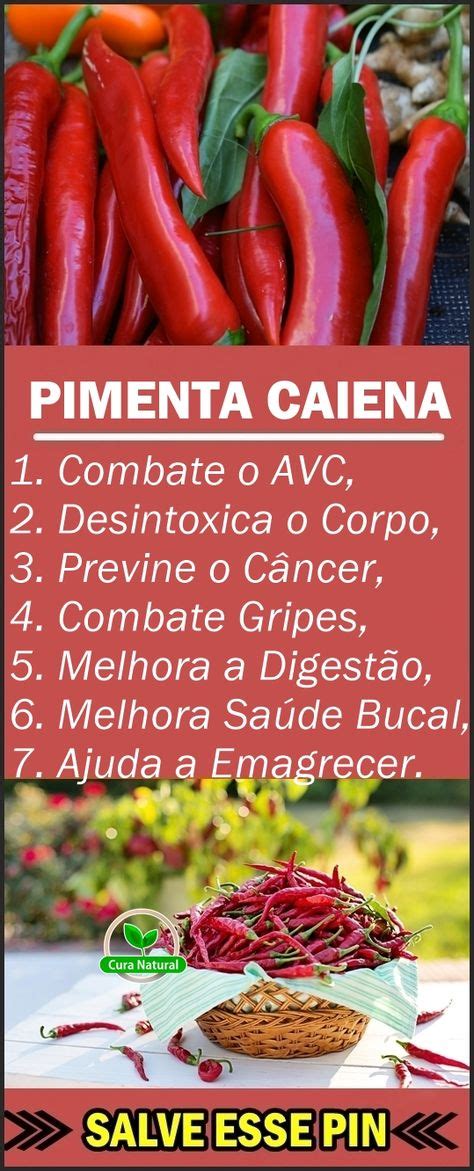 Melhores Imagens De Pimenta Caiena Pimenta Caiena Beneficios Da