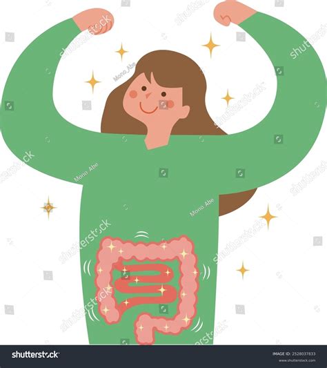 Intestino Grueso Partes