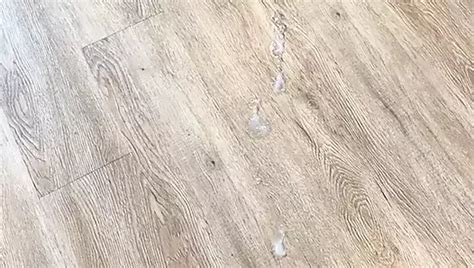 Jay Bee Sinner Gay Porn Videos Sex Model Nudes XHamster