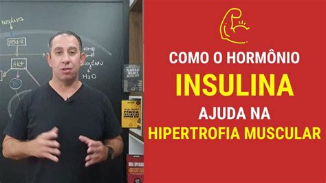 Como o Hormônio Insulina ajuda na Hipertrofia Muscular YouTube