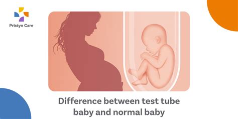 Difference Between Ivf And Test Tube Baby Ornmoms