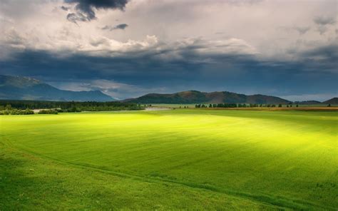 Sunlight Trees Landscape Hill Nature Grass Field Green Hills