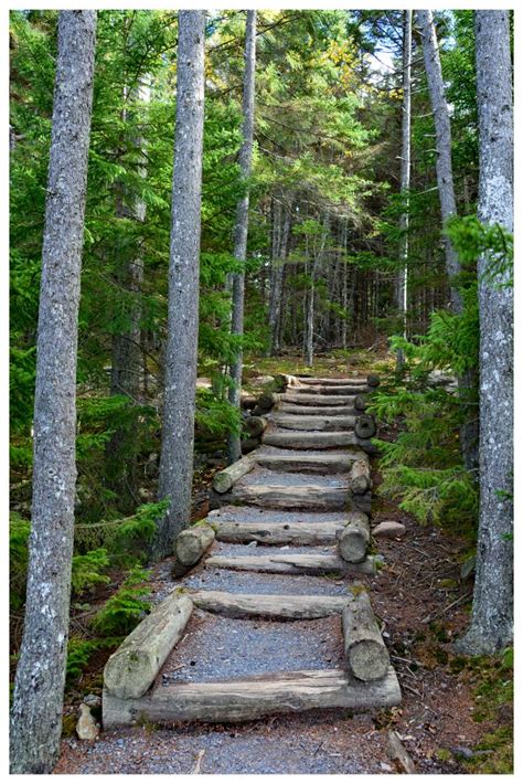 Explore Stunning Hiking Trails in Acadia National Park