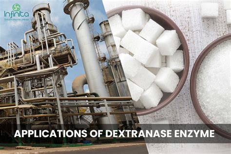 Applications Of Dextranase Enzyme Infinita Biotech