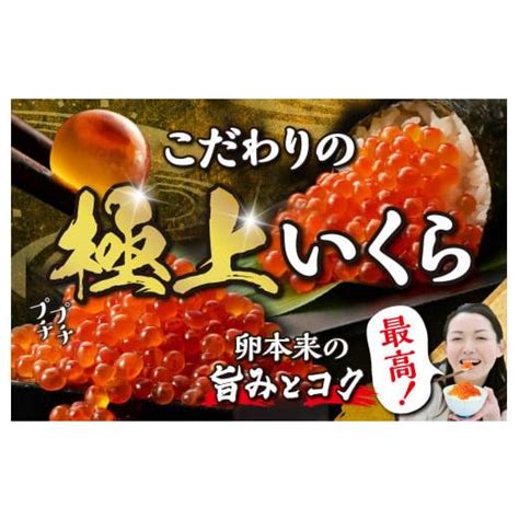 ふるさと納税 北海道 白糠町 【数量限定】2023年10月お届け 北海道海鮮紀行いくら 醤油味 250g いくら イクラ 小分け 鮭いくら 鮭イクラ イクラ醤油漬 鮭 鮭 5808869