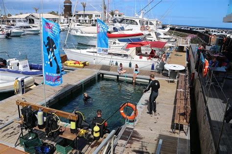 Bautismo De Buceo En Fuerteventura Hellotickets