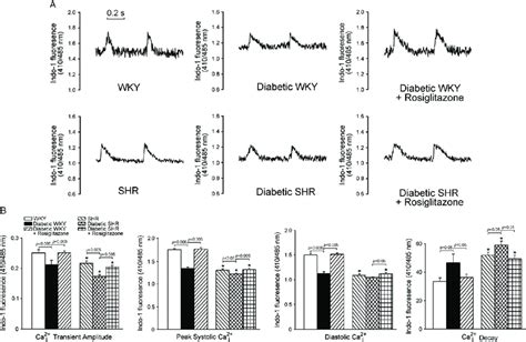 Effects Of Diabetes Hypertension And A Ppar Agonist Rosiglitazone