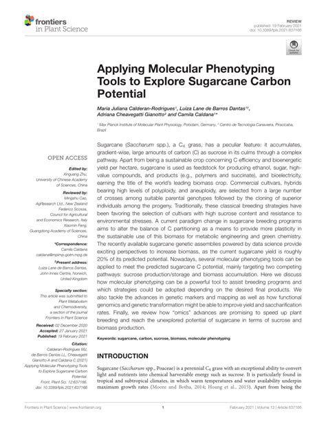 Pdf Applying Molecular Phenotyping Tools To Explore Sugarcane Carbon