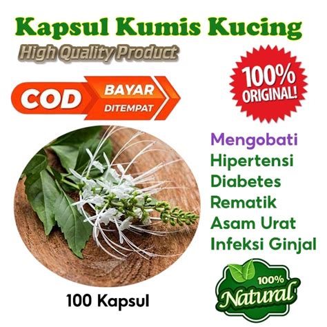 Jual Kapsul Kumis Kucing Isi 100 Peluruh Kencing Batu Ginjal Obat