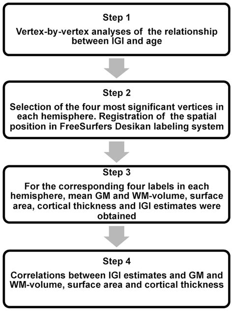 Analyses Steps For The Lgi Values And Correlations With Anatomical