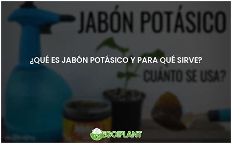 Jab N Pot Sico Usos Y Beneficios Para El Hogar Y El Jard N Egoiplant