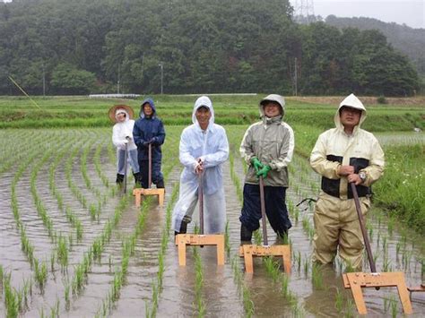 無農薬栽培におすすめ！ 田んぼの草取りが楽しくなる「中野式除草機」｜マイナビ農業