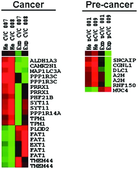 Heatmaps Of Differentially Expressed Genes And Methylated Loci There