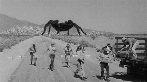 Watch Tarantula 1955 full Movie HD on ShowboxMovies Free