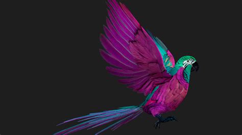 Parrot A3 Animated - 3D Model by Animated3d