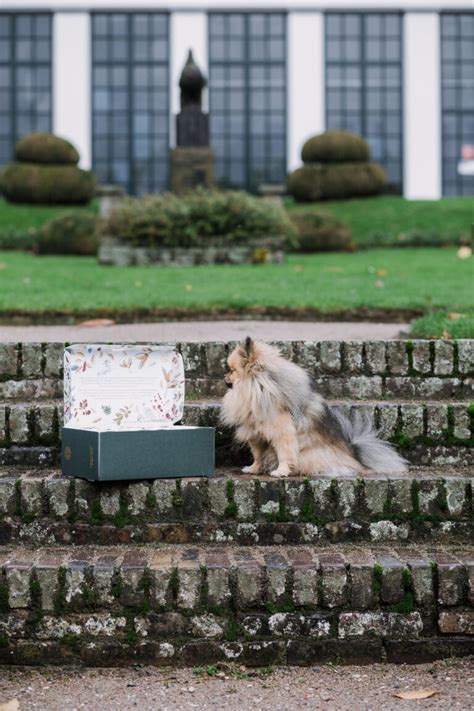 Yves Rocher Adventskalender Unboxing