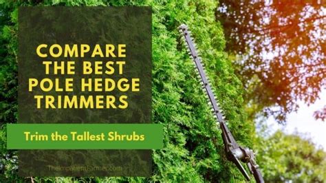 Compare The Best Pole Hedge Trimmers For Trimming Taller Bushes