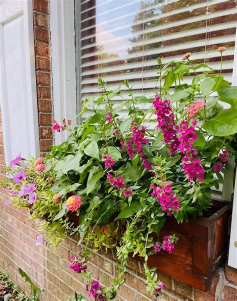 Pin By Mary Leahy On Bijoux Bungalow Porch Ideas Bungalow Porch Ideas