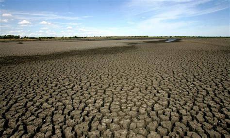 Uruguay Extiende La Emergencia Agropecuaria Por Sequía A 14 Departamentos