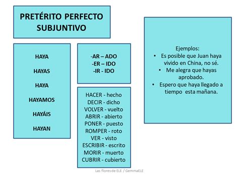 Las Flores De Ele Pasados De Subjuntivo