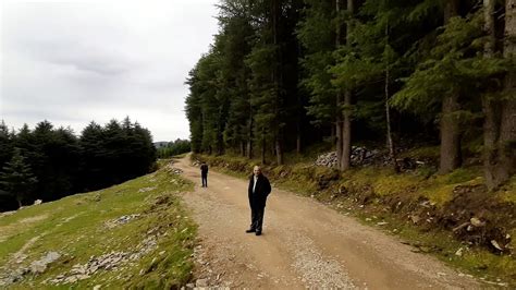 Enjoy Pine Forest Walk Near Woodays Resort Kufri Shimla Himachal