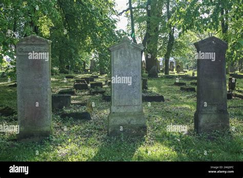 The Mennonite Cemetery Area Is Seen In Stogi Malborskie Poland On 18