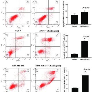 CKI Induces Apoptosis Of MCF 7 Cells And MDA MB 231 Cells Notes A