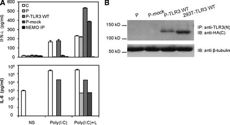 wt tlr expression rescues responsiveness  tlr   patients