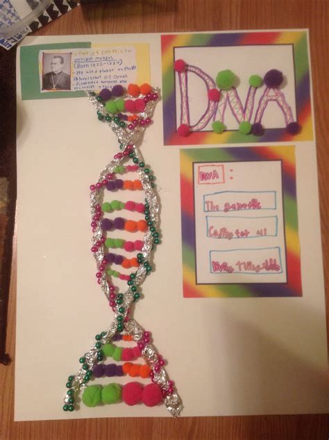 DNA project for school | School projects, 3d printed jewelry, Dna project