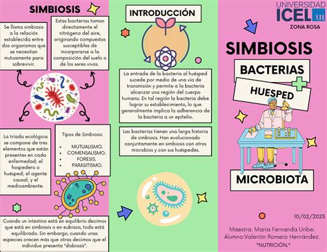 Folleto Huesped Bacteria Bacterias Huesped Microbiota Introducci N