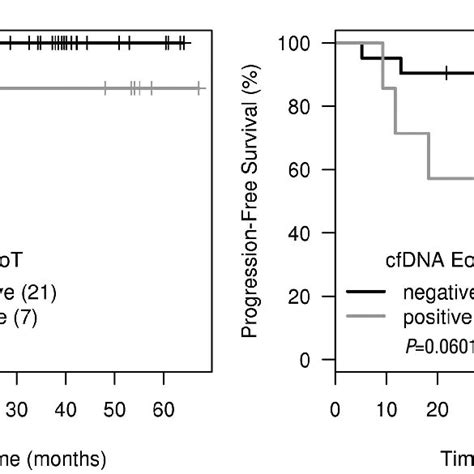 Pdf Detection And Prognostic Value Of Recurrent Xpo1 Mutations In