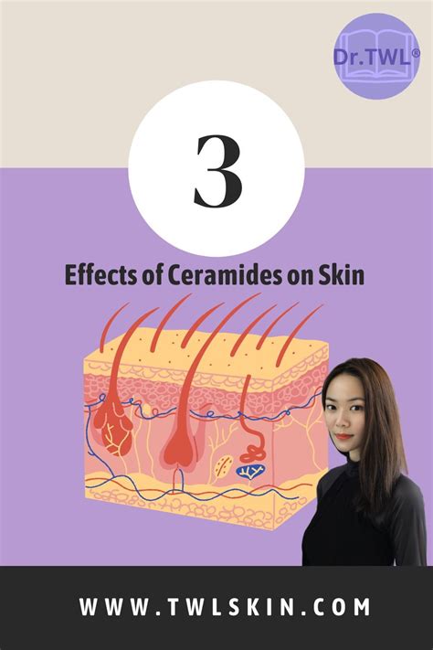 What Are Ceramides For Skin? Build Your Ideal Skincare Routine