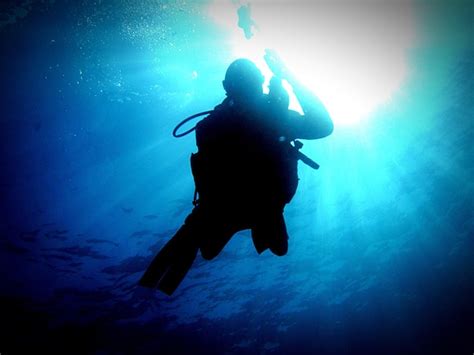 Premium Photo Silhouette Person Scuba Diving Undersea