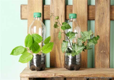 O Que É Reaproveitar - Reutilizar e Reaproveitar: A Solução para o Lixo Antes de Reciclar