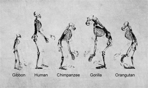 Evolution Of Hands Supari In