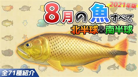 【あつ森】8月に釣れる魚を全て紹介！魚影や出現場所、時間、条件、買取値段など徹底解説！サメやピラルク、ドラド、シイラなどレア魚が大量【あつまれ