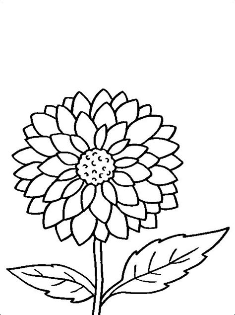 Dahlia Desenho Para Colorir E Pintar Desenhos Para Colorir Flower