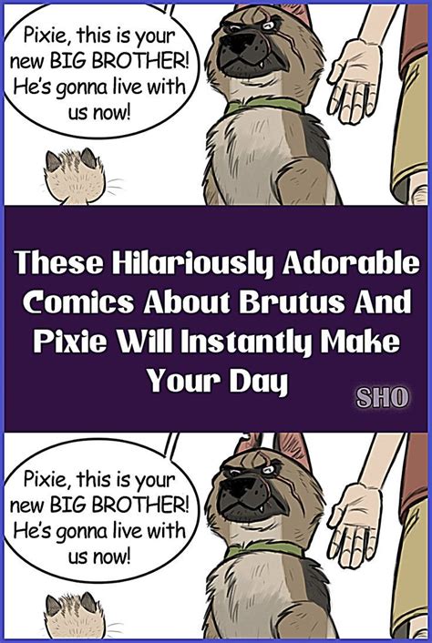 These Hilariously Adorable Comics About Brutus And Pixie Will Instantly