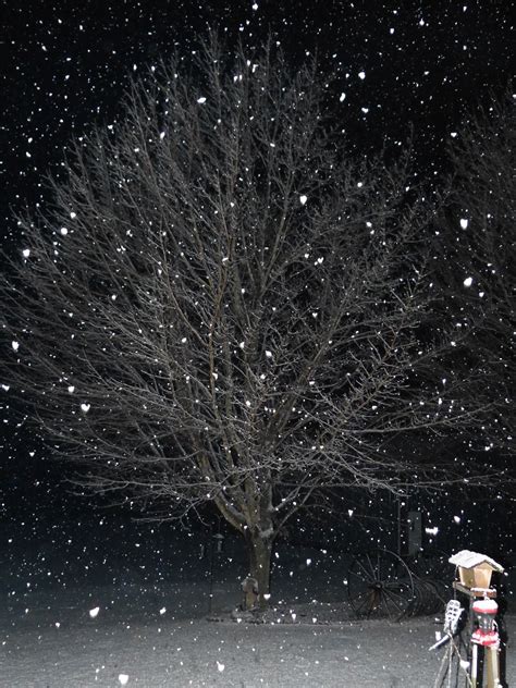 Snow falling in the night sky | Night skies, Winter wonderland ...